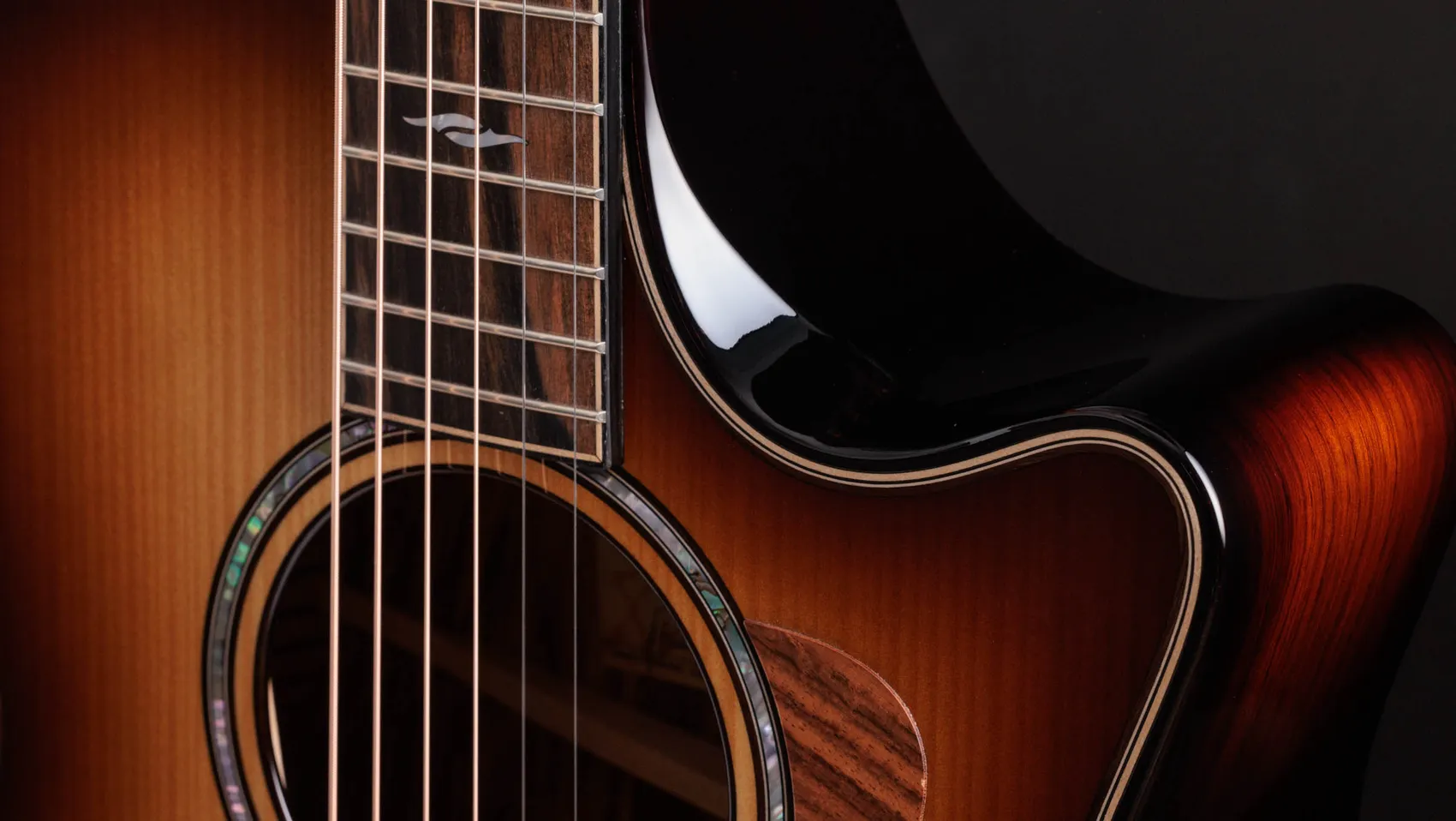 Builder's Edition 814ce Honduran Rosewood/Adirondack Spruce